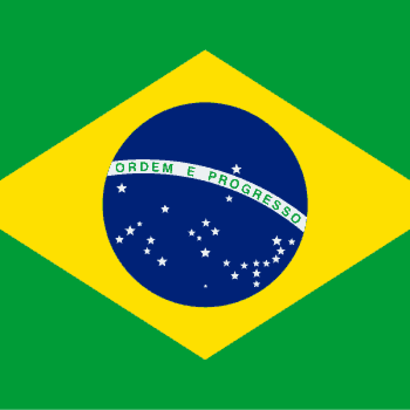 ויזת נווד דיגיטלי ברזיל